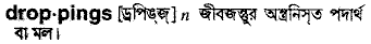Droppings in Bangla Academy Dictionary