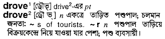 Drove in Bangla Academy Dictionary
