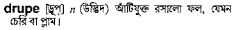 Drupe in Bangla Academy Dictionary