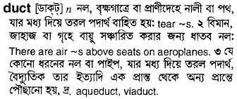 Duct in Bangla Academy Dictionary