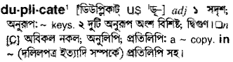 Duplicate in Bangla Academy Dictionary
