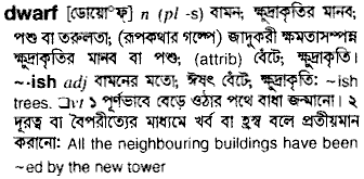 Dwarf in Bangla Academy Dictionary