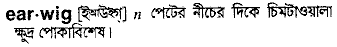 Earwig in Bangla Academy Dictionary