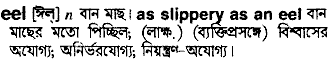 Eel in Bangla Academy Dictionary