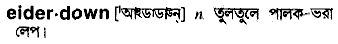 Eiderdown in Bangla Academy Dictionary