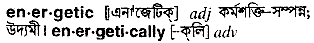 Energetic in Bangla Academy Dictionary