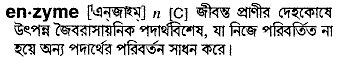 Enzyme in Bangla Academy Dictionary