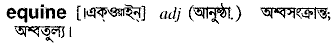 Equine in Bangla Academy Dictionary