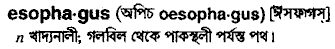 Esophagus in Bangla Academy Dictionary