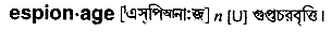 Espionage in Bangla Academy Dictionary