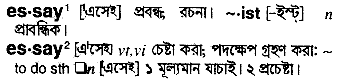 Essay in Bangla Academy Dictionary