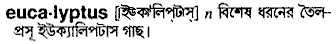 Eucalyptus in Bangla Academy Dictionary