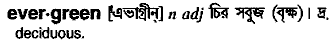 Evergreen in Bangla Academy Dictionary