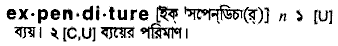 Expenditure in Bangla Academy Dictionary