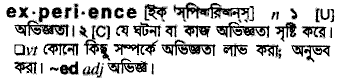 Experience in Bangla Academy Dictionary