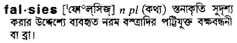 Falsies in Bangla Academy Dictionary