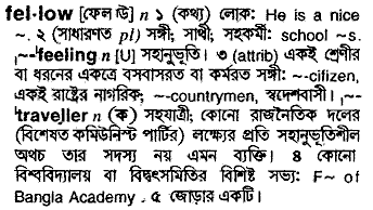 Fellow in Bangla Academy Dictionary