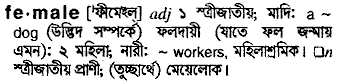 Female in Bangla Academy Dictionary