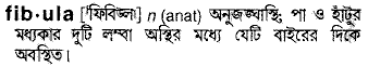 Fibula in Bangla Academy Dictionary