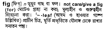 Fig in Bangla Academy Dictionary