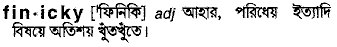 Finicky in Bangla Academy Dictionary