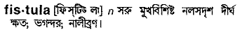 Fistula in Bangla Academy Dictionary