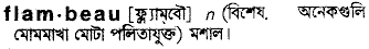 Flambeau in Bangla Academy Dictionary