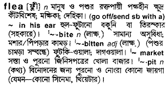 Flea in Bangla Academy Dictionary