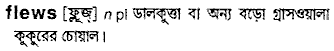 Flews in Bangla Academy Dictionary