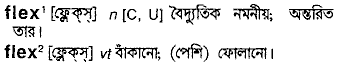 Flex in Bangla Academy Dictionary