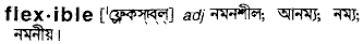 Flexible in Bangla Academy Dictionary