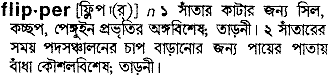 Flipper in Bangla Academy Dictionary