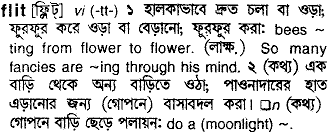 Flit in Bangla Academy Dictionary