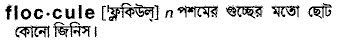 Floccule in Bangla Academy Dictionary