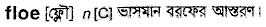 Floe in Bangla Academy Dictionary