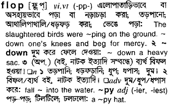 Flop in Bangla Academy Dictionary