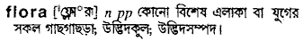 Flora in Bangla Academy Dictionary