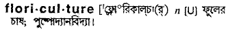 Floriculture in Bangla Academy Dictionary