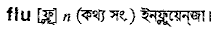 Flu in Bangla Academy Dictionary