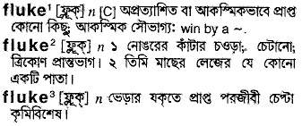 Fluke in Bangla Academy Dictionary