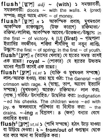 Flush in Bangla Academy Dictionary