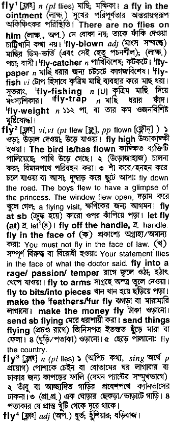 Fly in Bangla Academy Dictionary