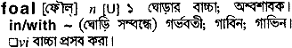 Foal in Bangla Academy Dictionary