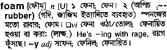 Foam in Bangla Academy Dictionary