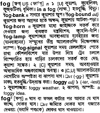 Fog in Bangla Academy Dictionary