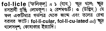 Follicle in Bangla Academy Dictionary