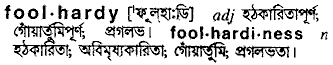 Foolhardy in Bangla Academy Dictionary