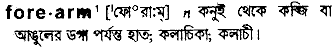 Forearm in Bangla Academy Dictionary