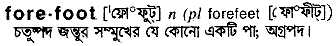 Forefoot in Bangla Academy Dictionary