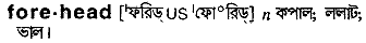 Forehead in Bangla Academy Dictionary
